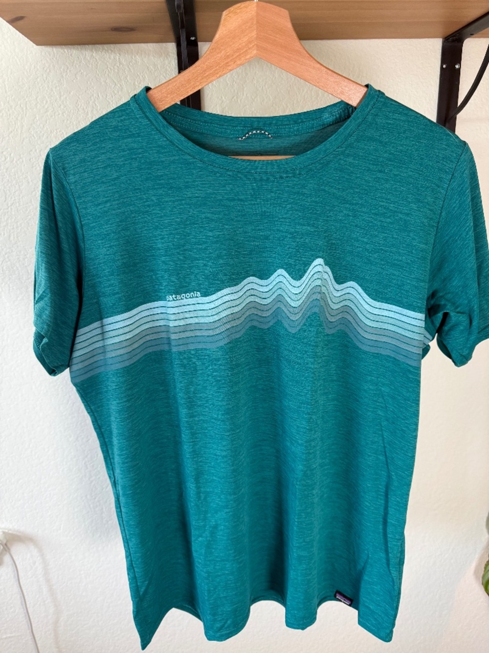 Patagonia Teal Short Sleeve Tee with Wave Graphic